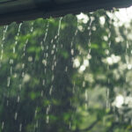 Monsoon Gardening