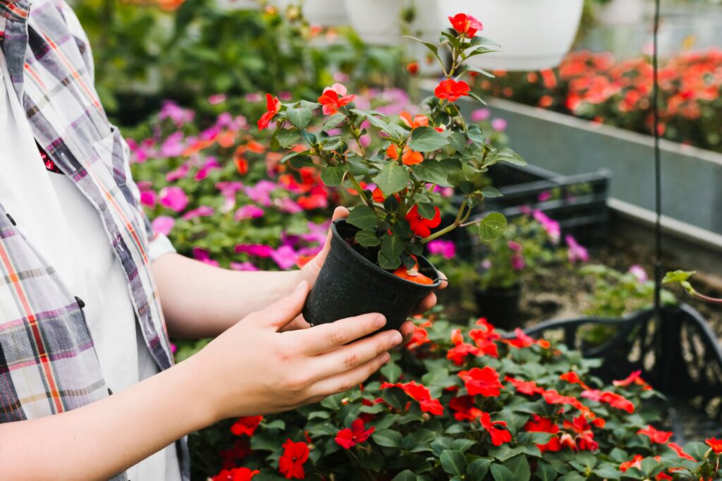 picking the right plant
