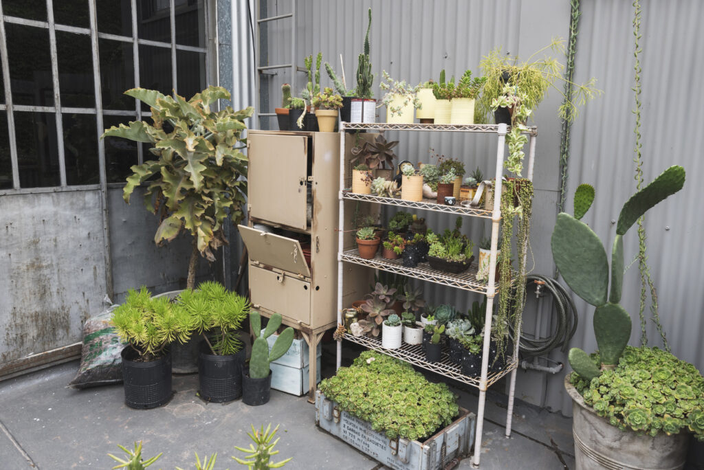 Vertical Garden