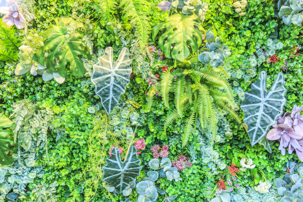 Vertical Garden