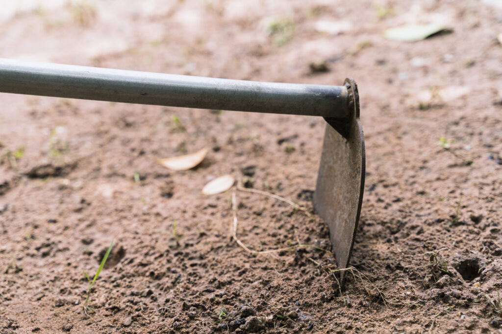 Garden Hoe