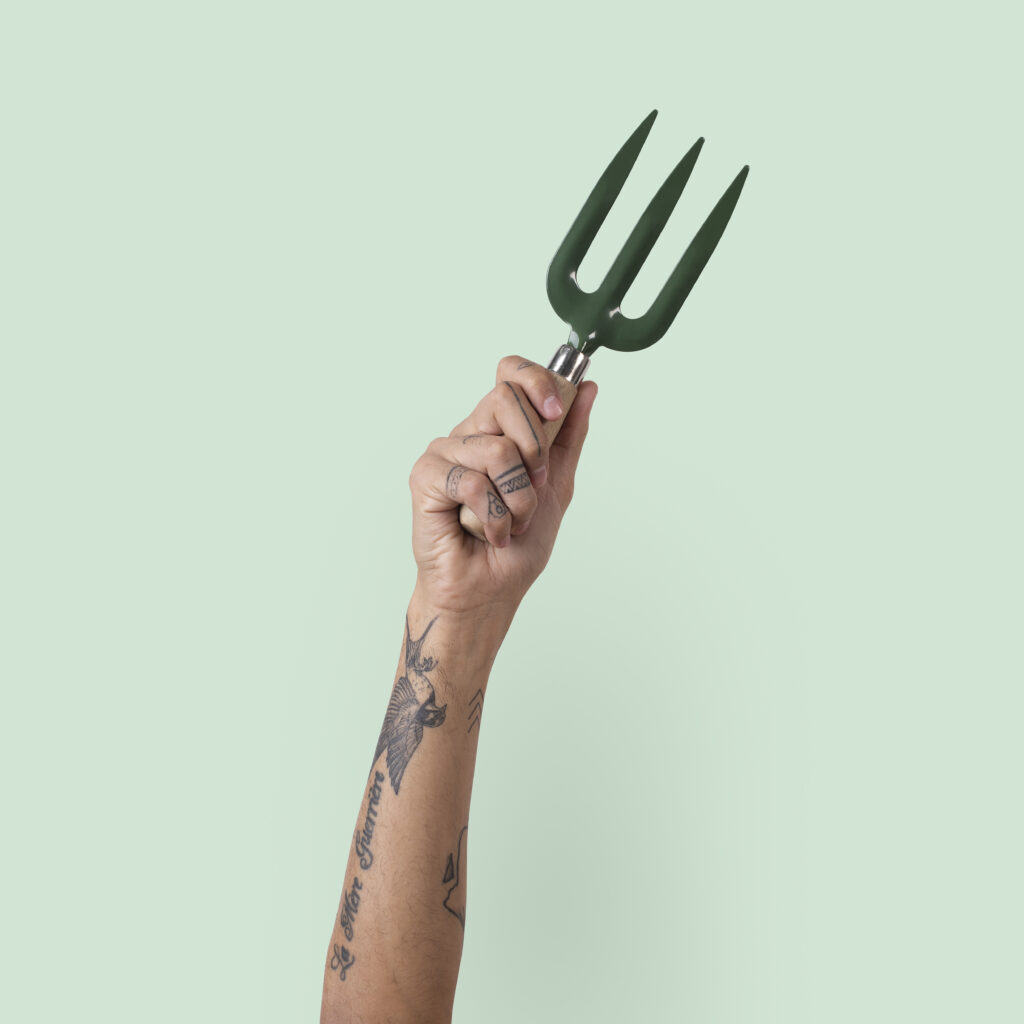 Steel Hand Fork