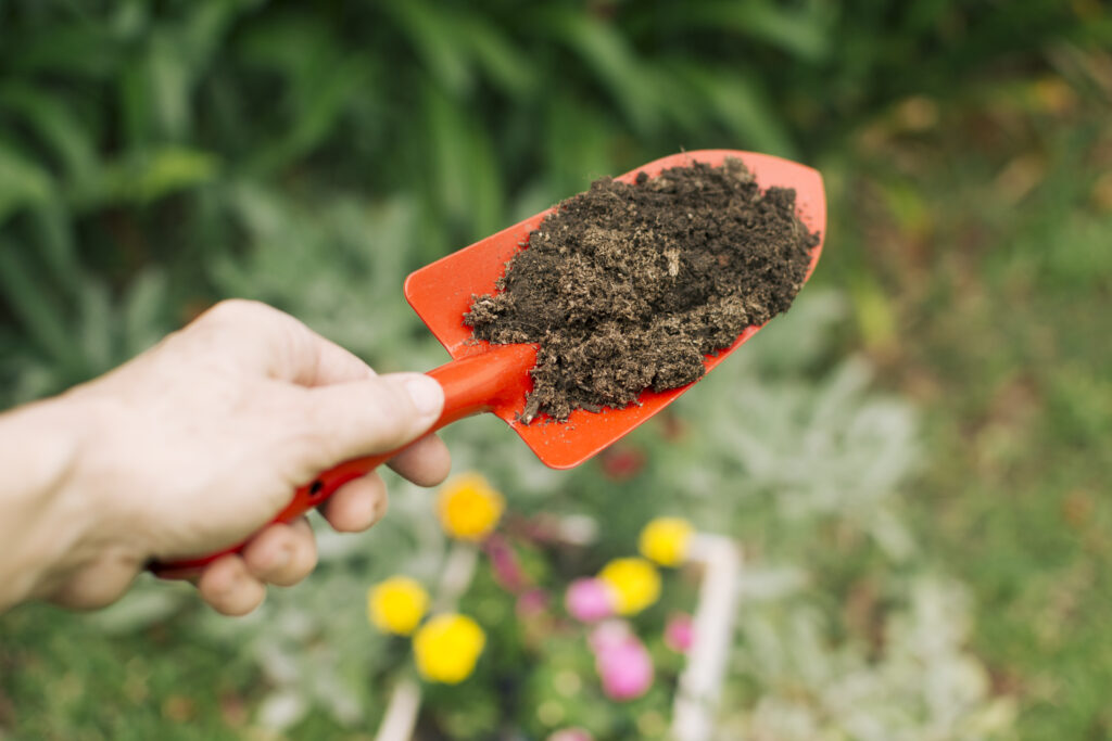 Hand Trowel