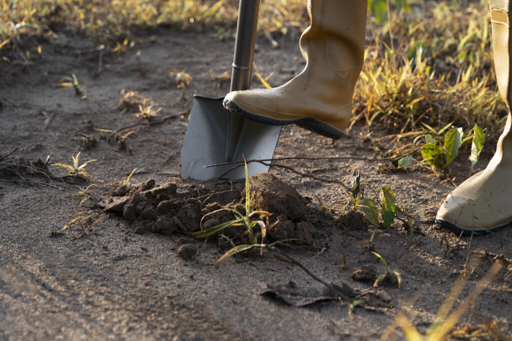 Garden Spade