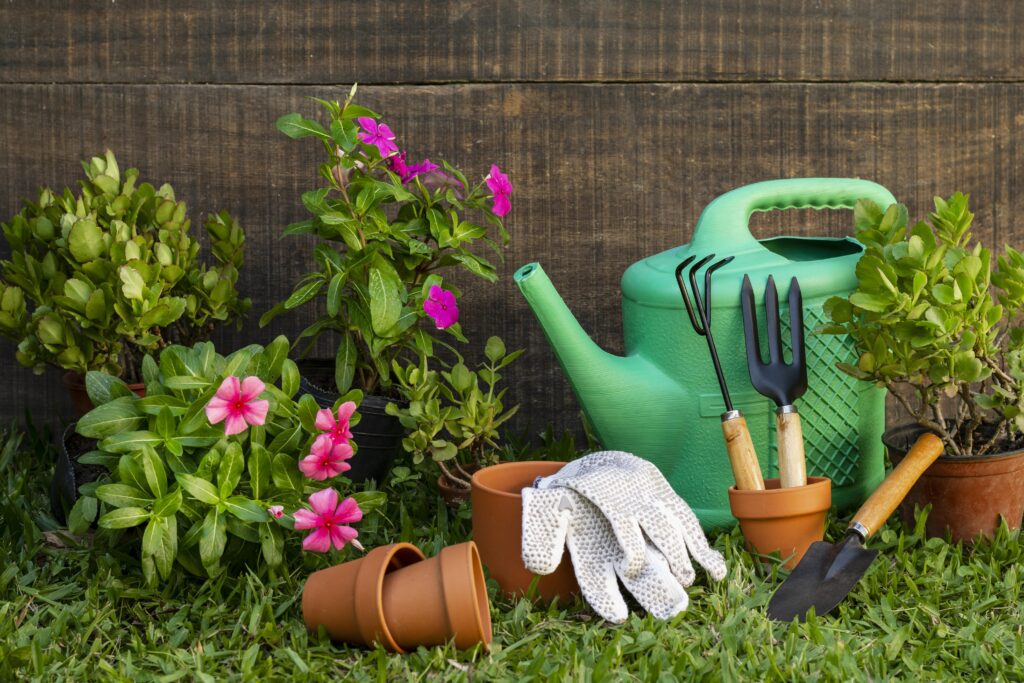 Low-maintenance plants