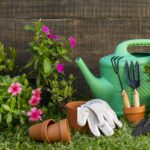 Low-maintenance plants