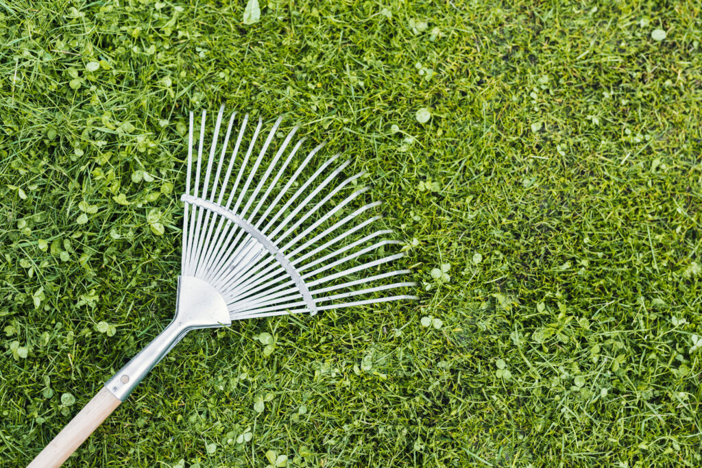 Rake