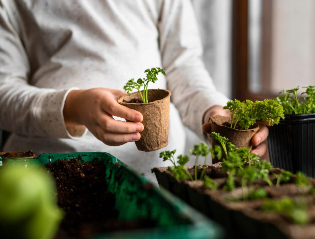 Indoor Gardening