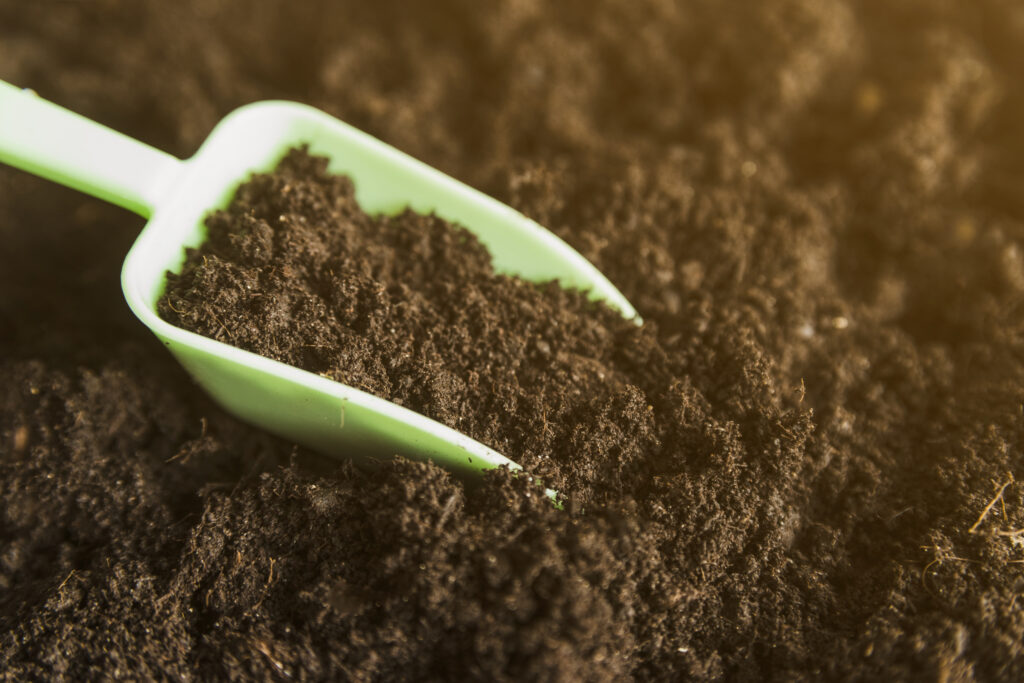 organic gardening practices