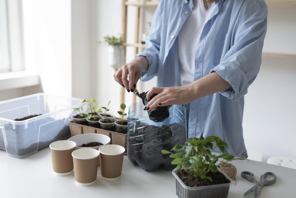 prepare the soil