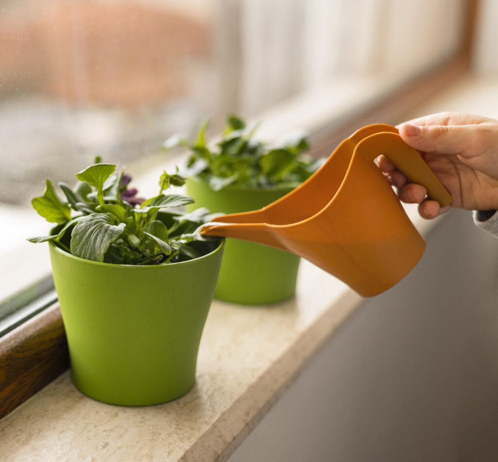 water the plants wisely