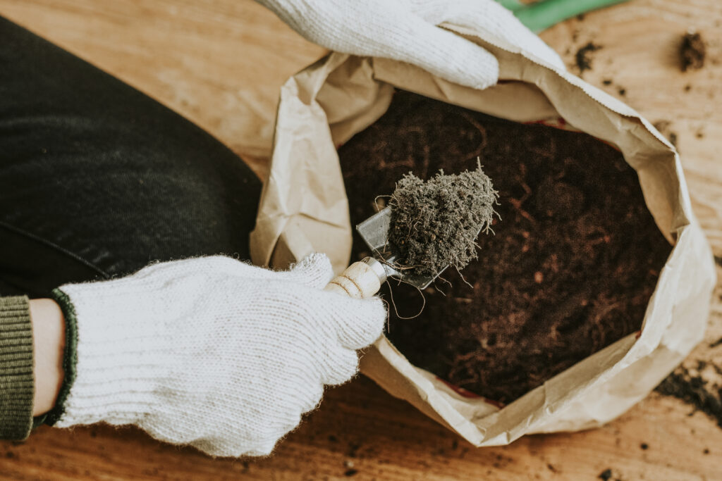 fertilize wisely