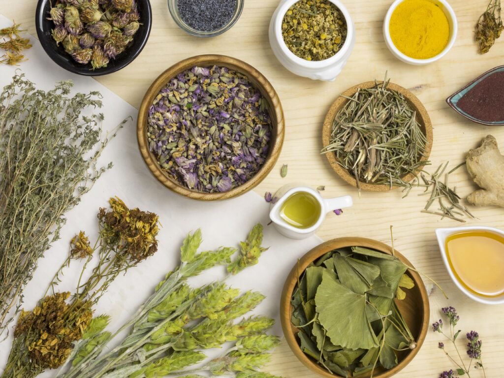 Medicinal Plants
