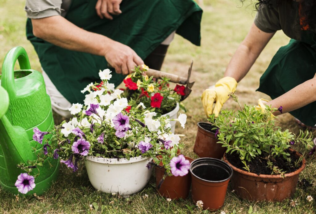 Outdoor Gardening