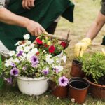 Outdoor Gardening