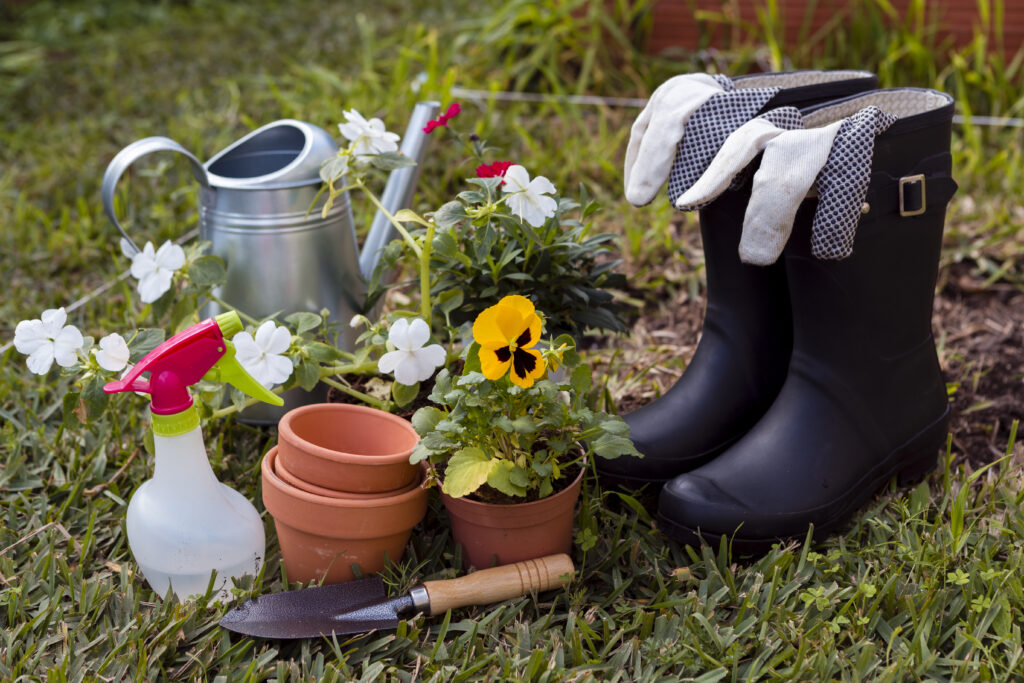 seasonal gardening