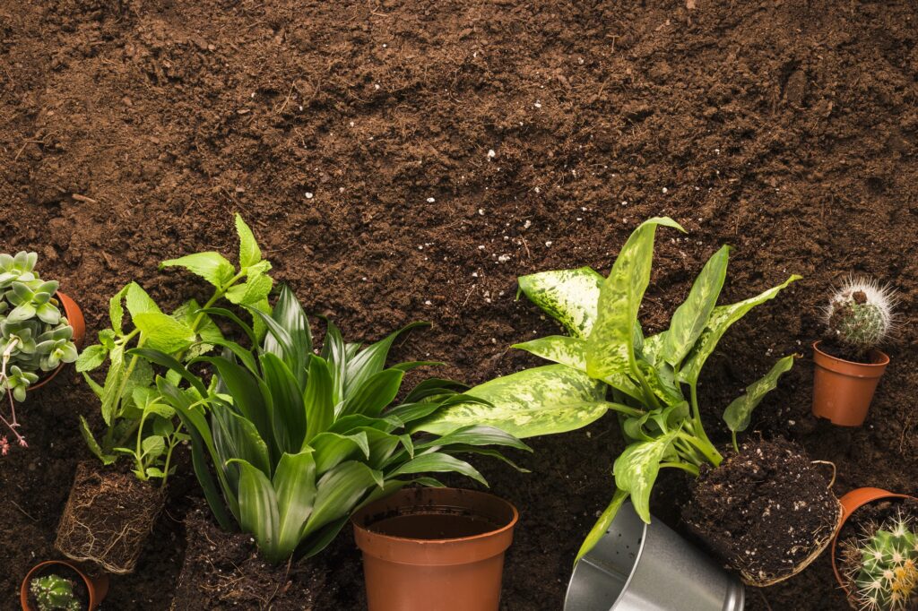 soil mix