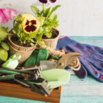 Gardening Hacks