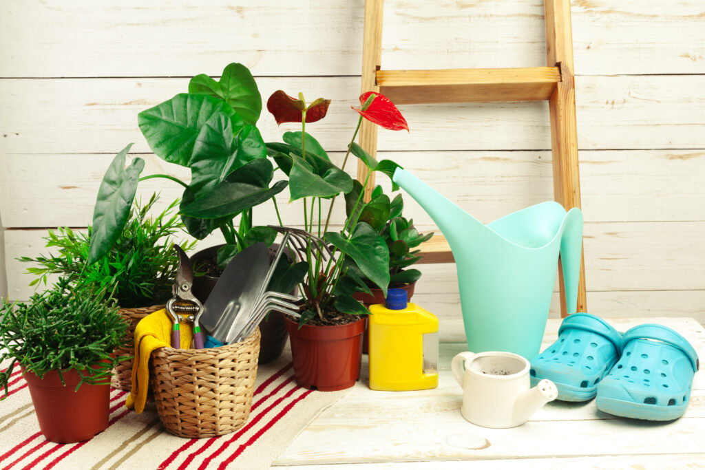 Home Gardening Trends