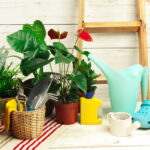 Home Gardening Trends
