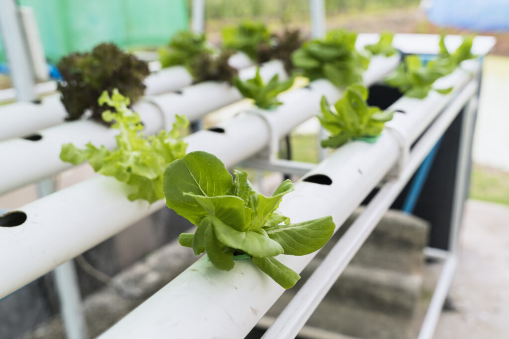 Hydroponics