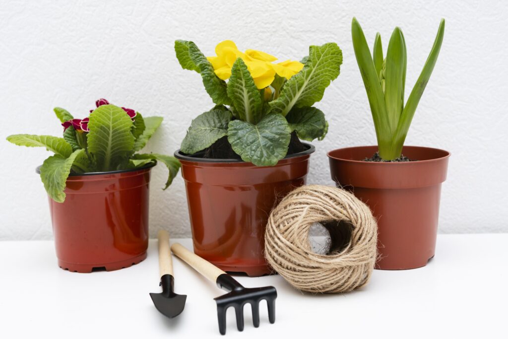 container and pots gardens