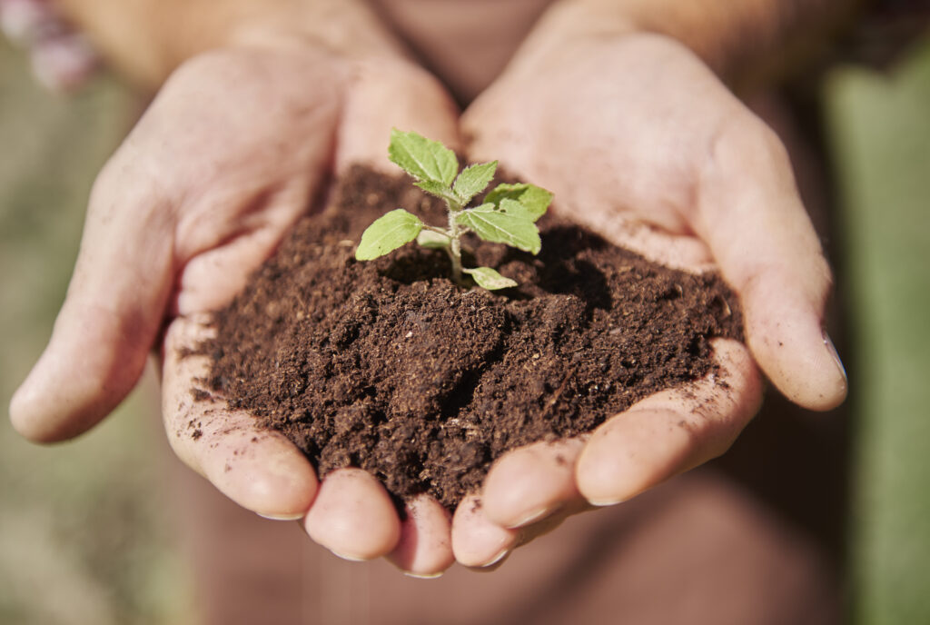 heat tolerant soil health
