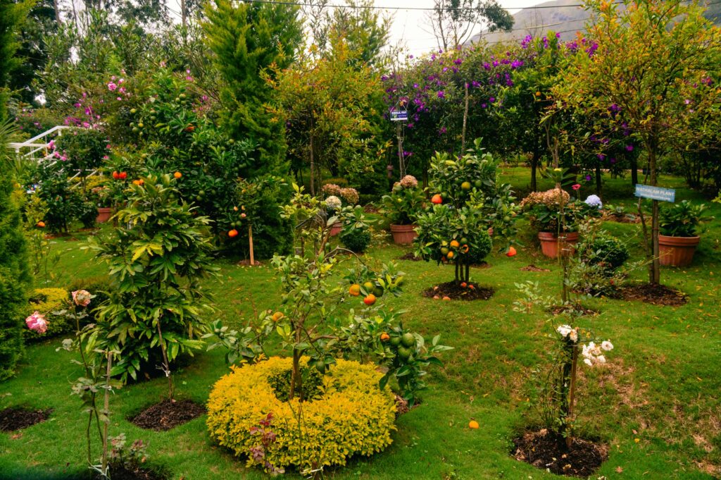 Fine Gardening