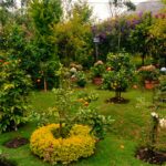 Fine Gardening