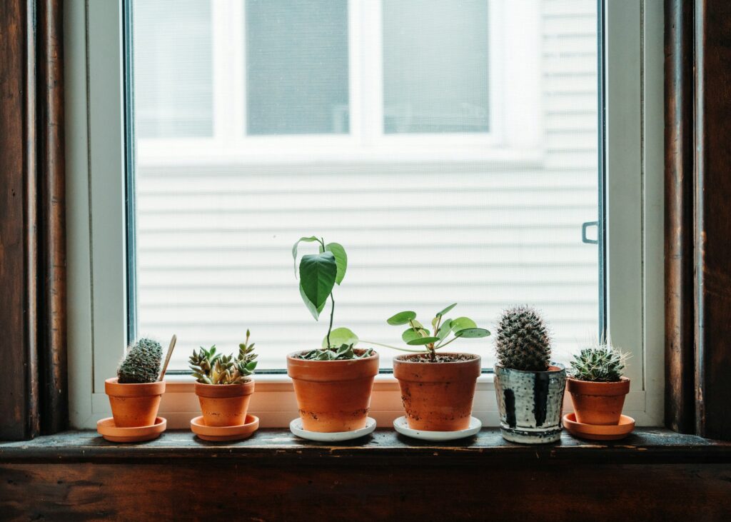 fine gardening container garden