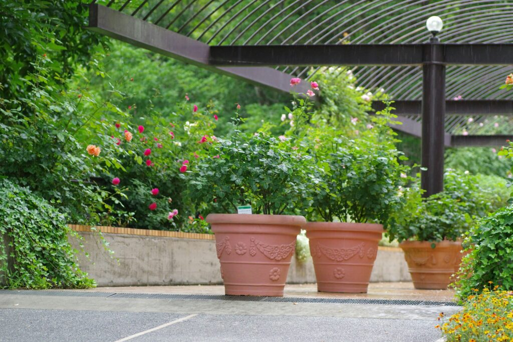 gardening goals