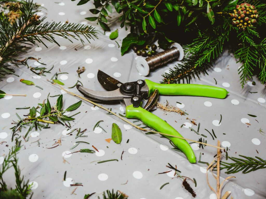 fine gardening plant care