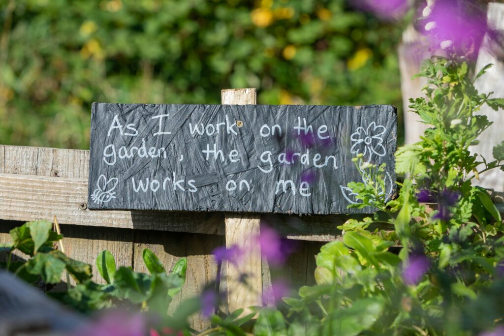 seasonal planting tips