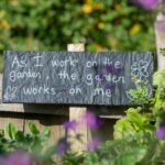 seasonal planting tips