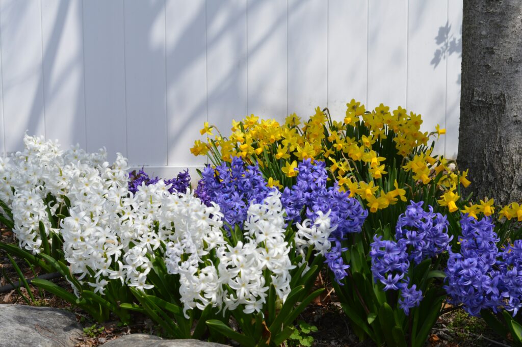 spring seasonal planting tips