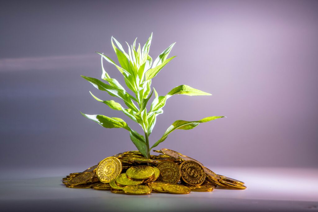 The Symbolism Behind Plant Gifts