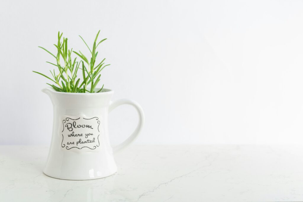 plant gifts