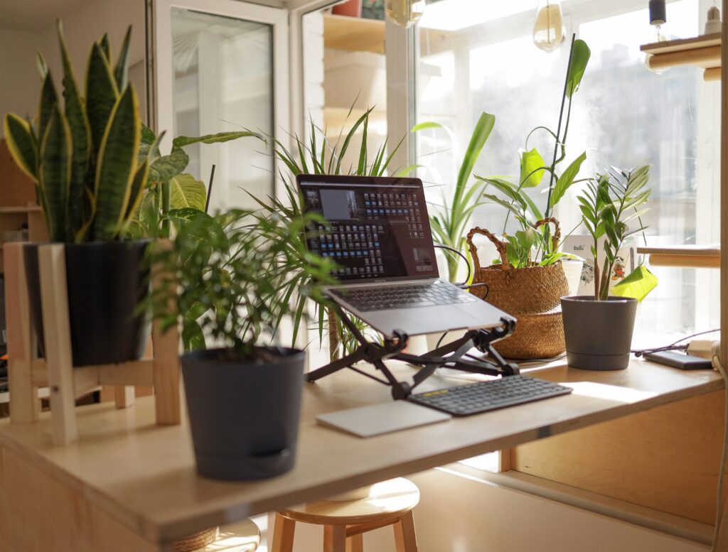 gift for remote teams