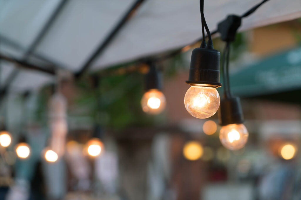 Garden Fairy Lights