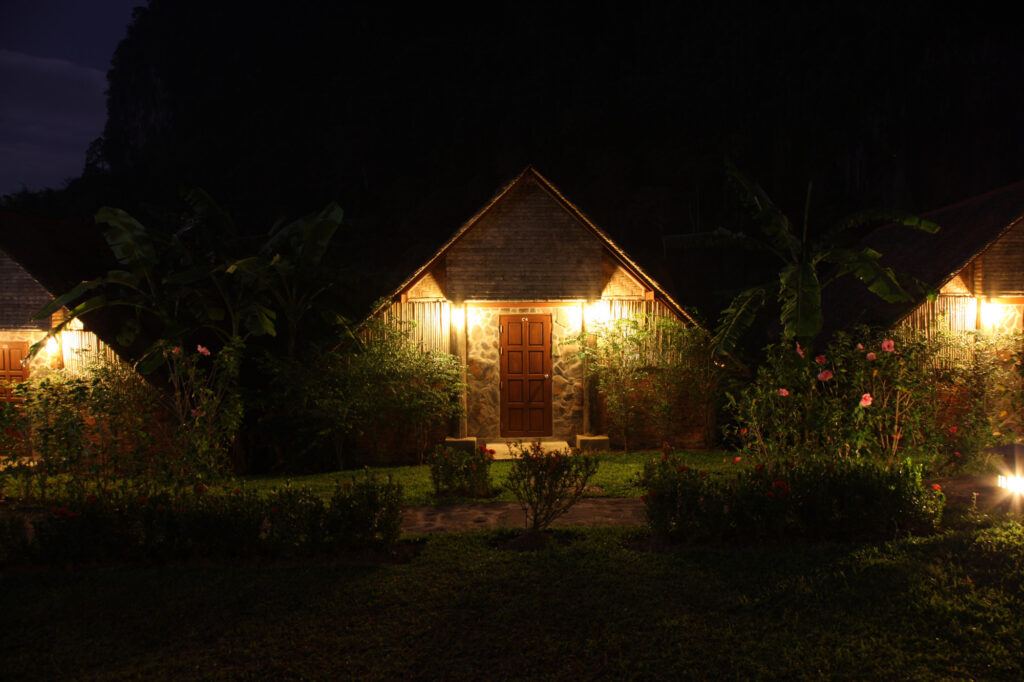 Night Gardening