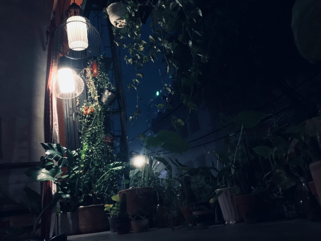 why night gardening works