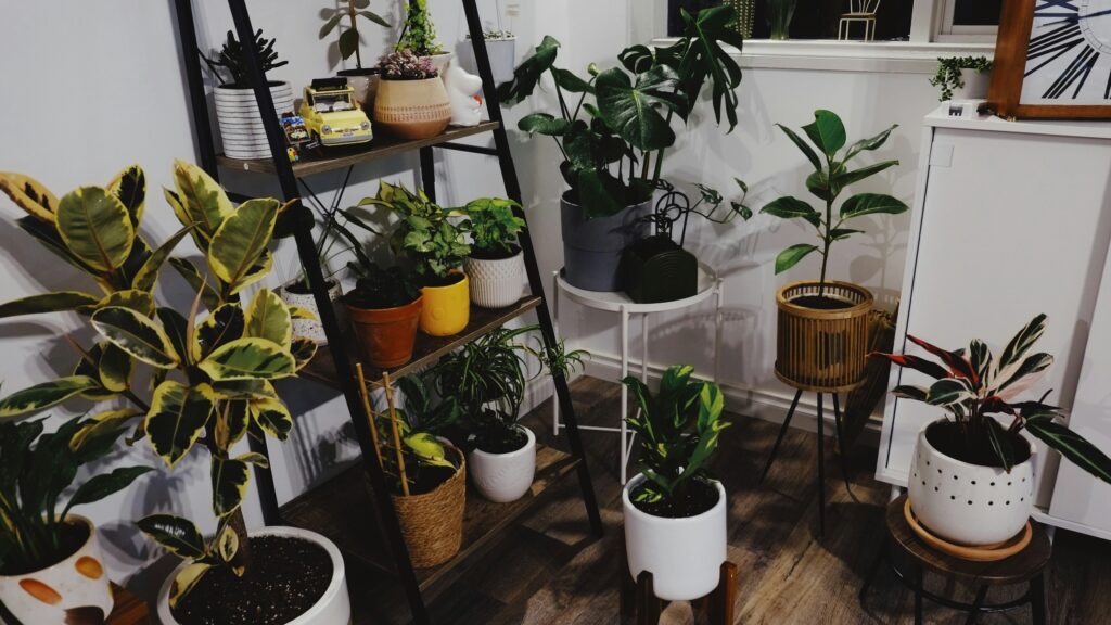 my weekend DIY project turned into a full green wall.