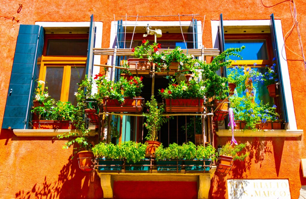 Vertical garden for air purification in apartment balcony