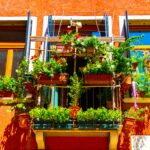 Vertical garden for air purification in apartment balcony