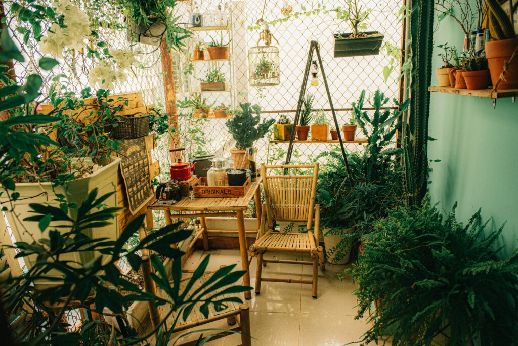 Building a vertical garden for air purification has completely changed my apartment