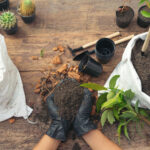 a light, airy, rich potting mix for container gardens.