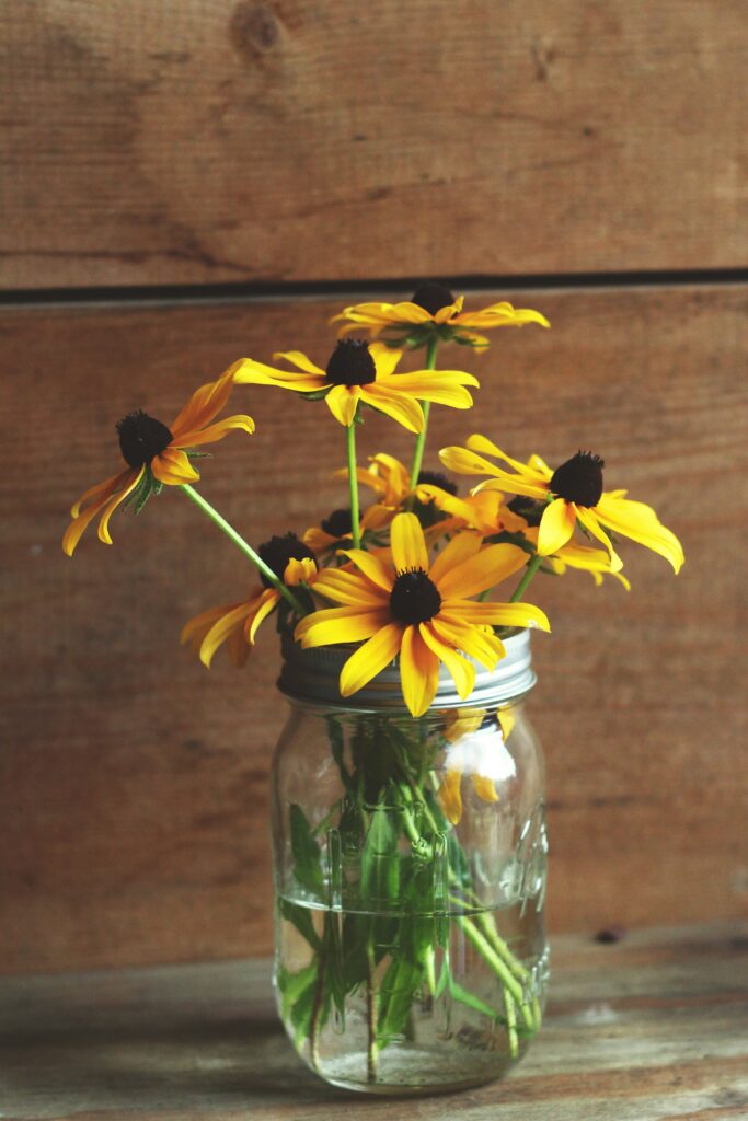 black eyed susan