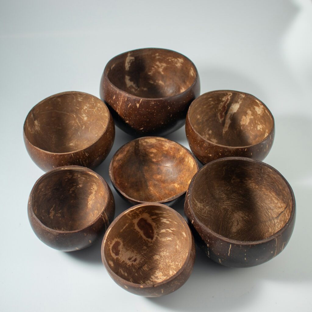 empty coconut shells to plant herbs