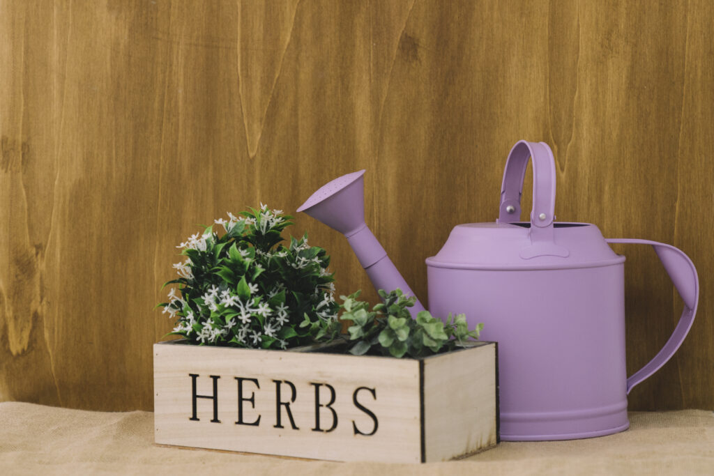 Growing Fresh Herbs Indoors Made Simple