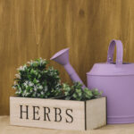 Growing Fresh Herbs Indoors Made Simple